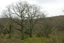 Imagen Laguna de Conchas 